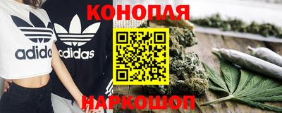 Альфа ПВП Аргун