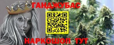 Альфа ПВП Аргун