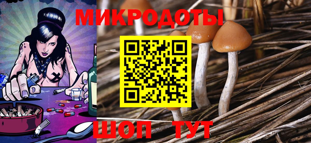 Вышний Волочёк  Галлюциногенные грибы MAGIC MUSHROOMS  Галлюциногенные грибы мицелий  Вход с VPN 
