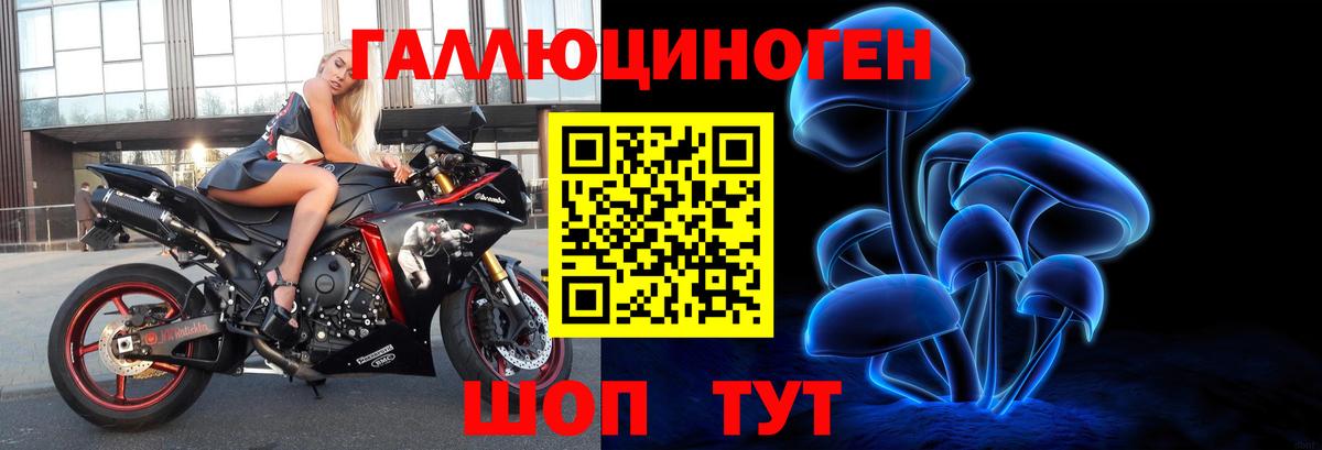 Галлюциногенные грибы Cubensis  Вышний Волочёк 