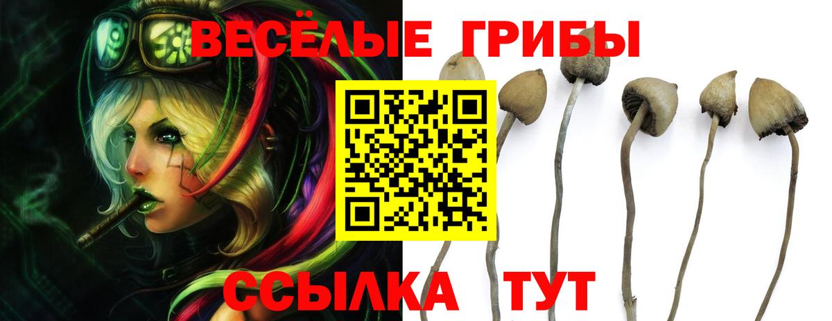 Галлюциногенные грибы ЛСД Вышний Волочёк